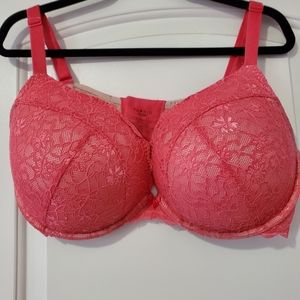 Torrid plunge push up bra